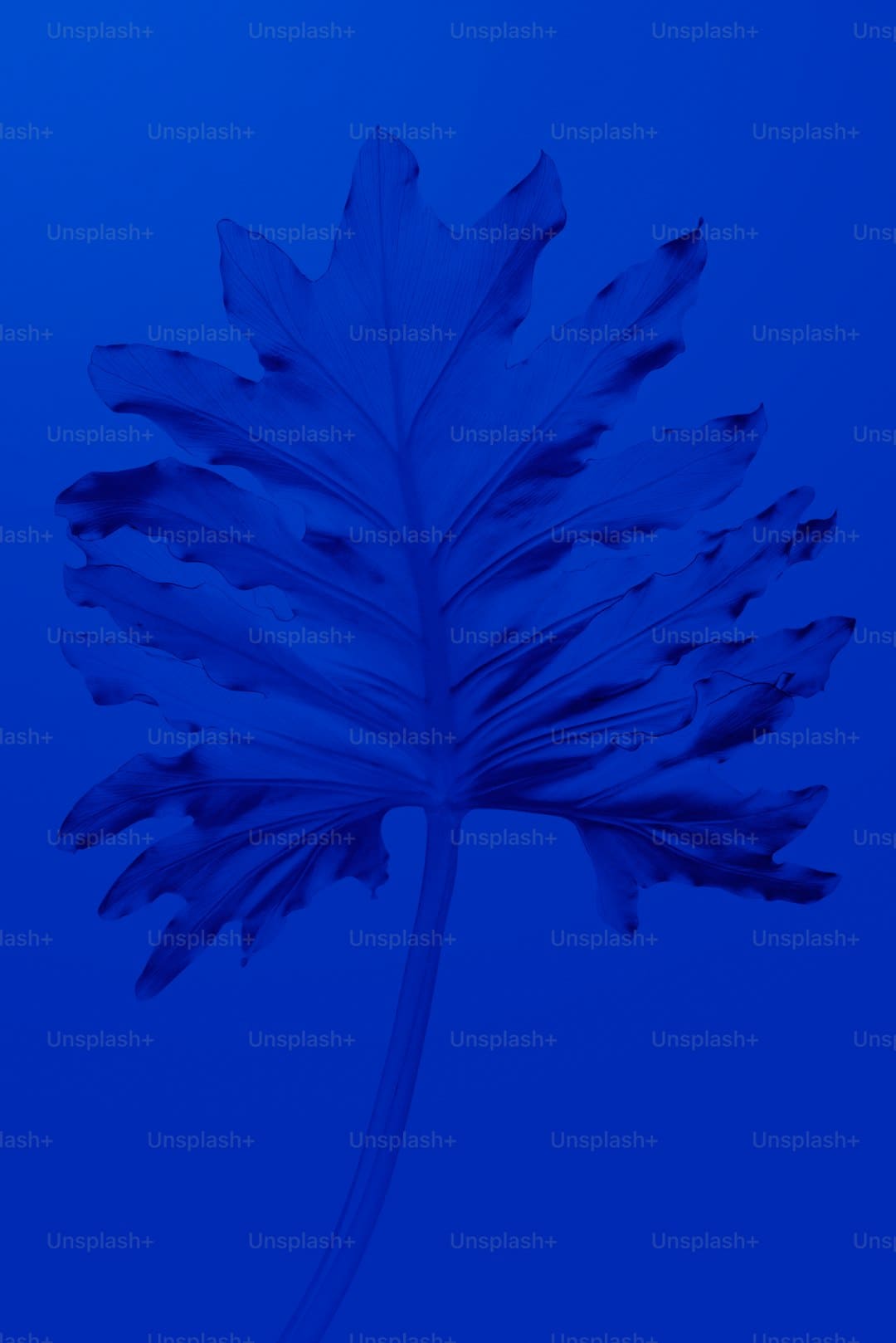 拼多多二季度净赢利307亿降幅收窄 管理层称当时赢利水平不具备可持续性
